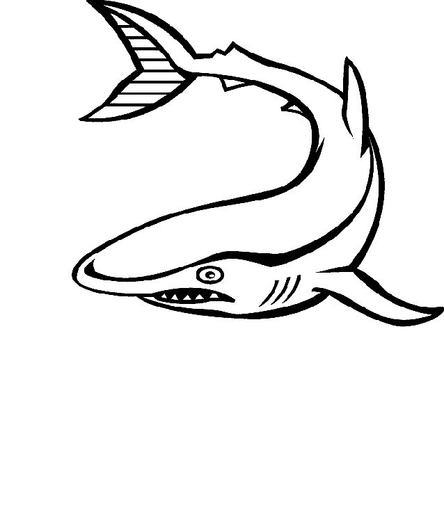 Sea animals coloring pages