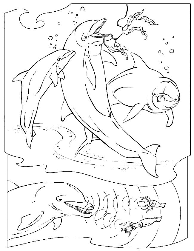 Sea animals coloring pages