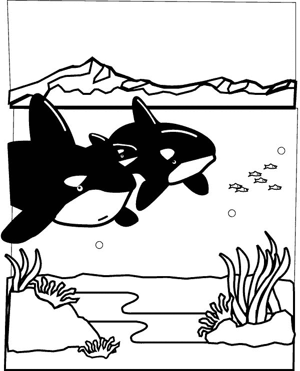 Sea animals coloring pages