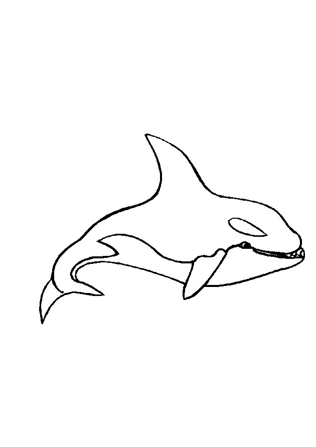 Sea animals coloring pages