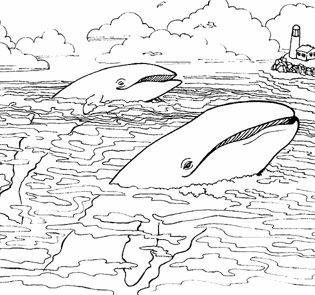 Sea animals coloring pages