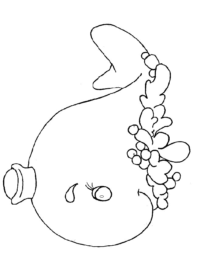 Sea animals coloring pages