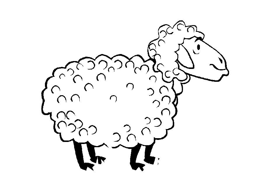 Sheep coloring pages