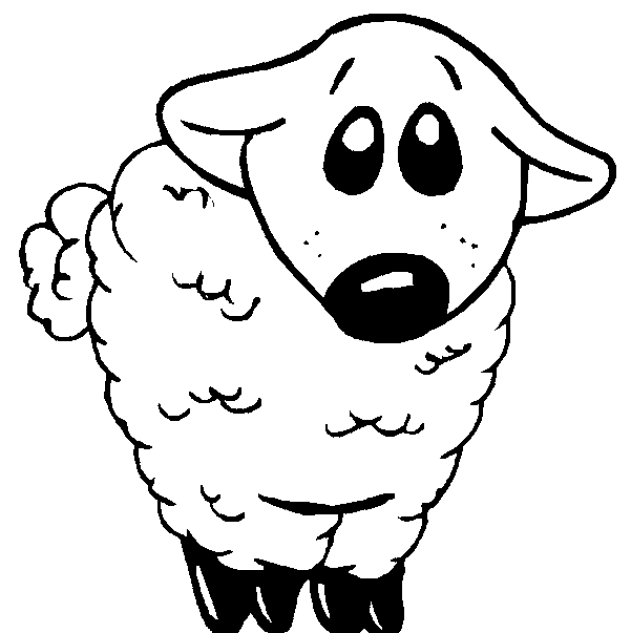 Sheep coloring pages