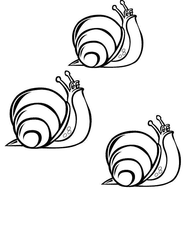 Snail coloring pages