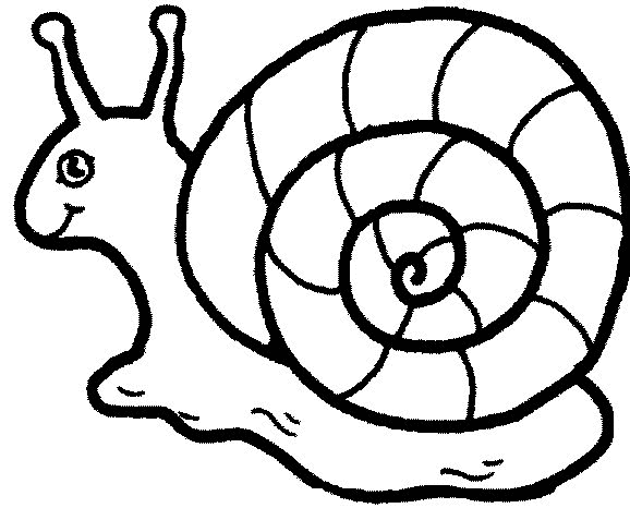 Snail coloring pages