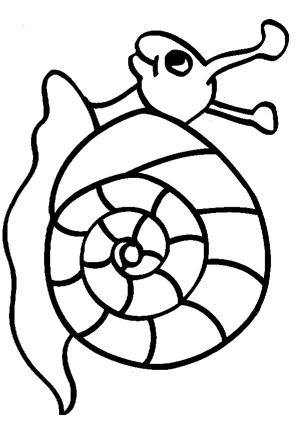 Snail coloring pages