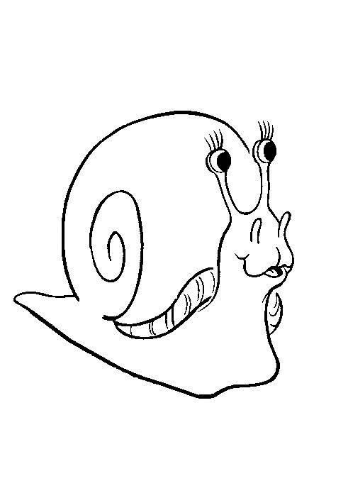 Snail