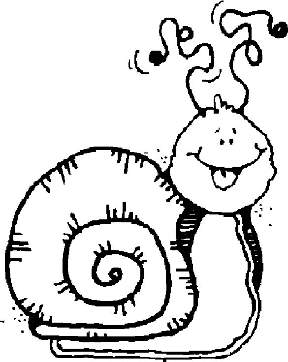 Snail coloring pages