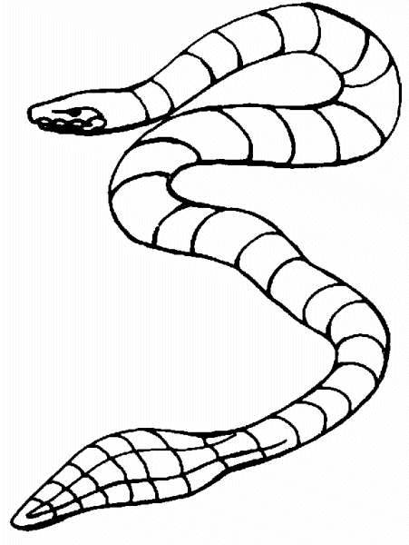 Snakes coloring pages