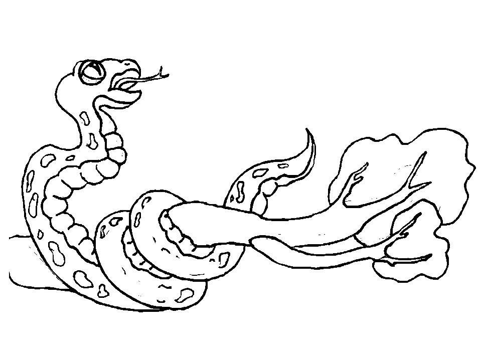 Snakes coloring pages