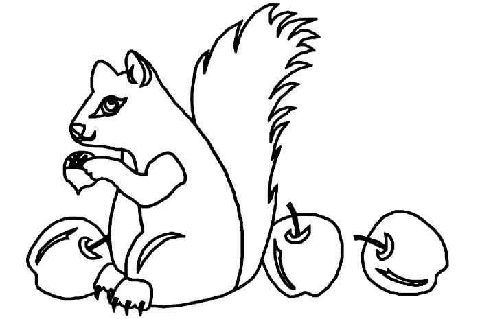 Squirrel coloring pages