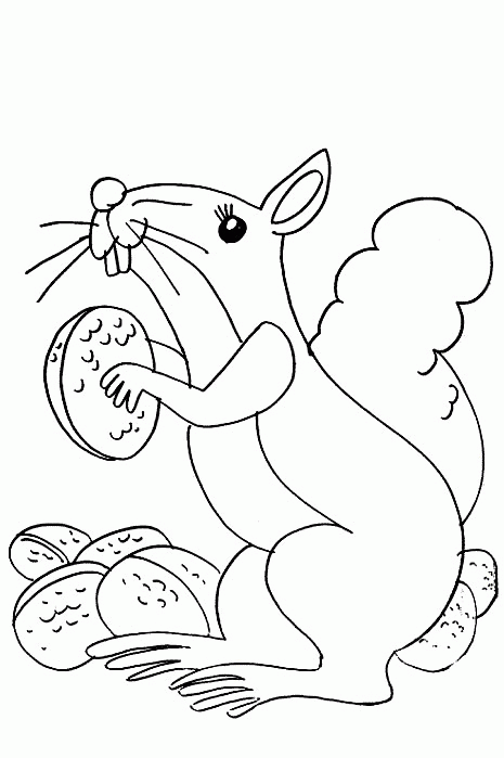 Squirrel coloring pages