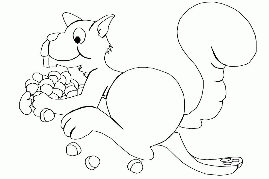 Squirrel coloring pages