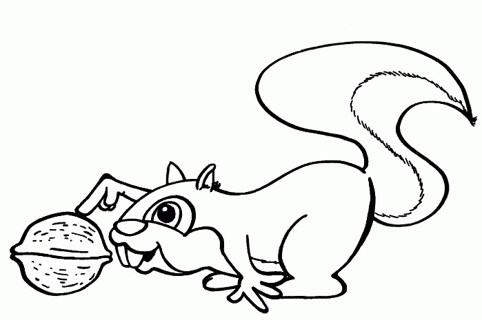 Squirrel coloring pages