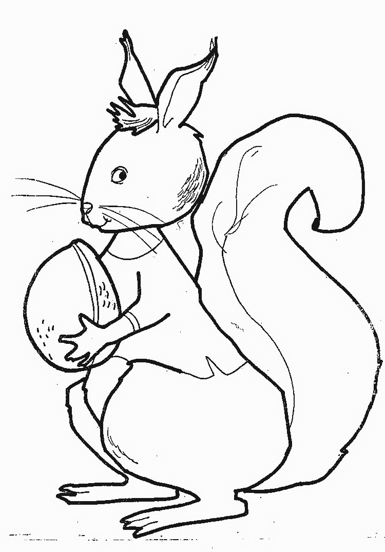 Squirrel coloring pages