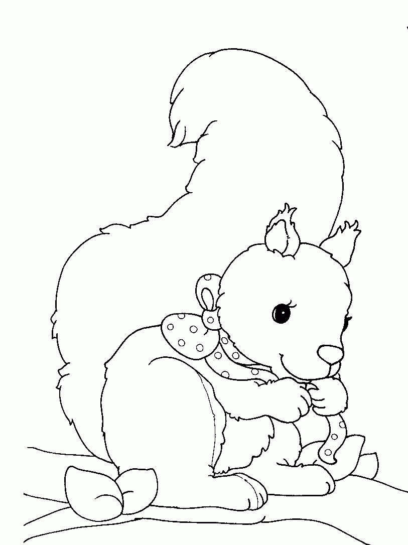 Squirrel coloring pages