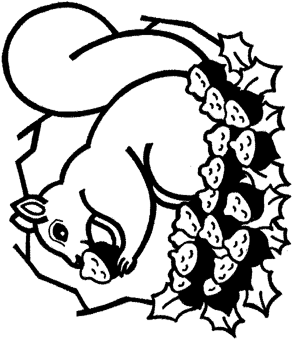 Squirrel coloring pages