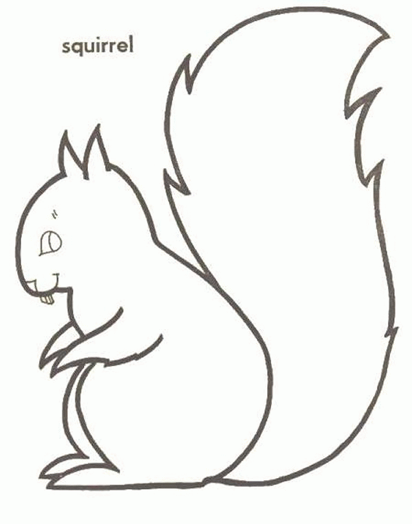 Squirrel coloring pages