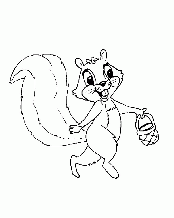 Squirrel coloring pages