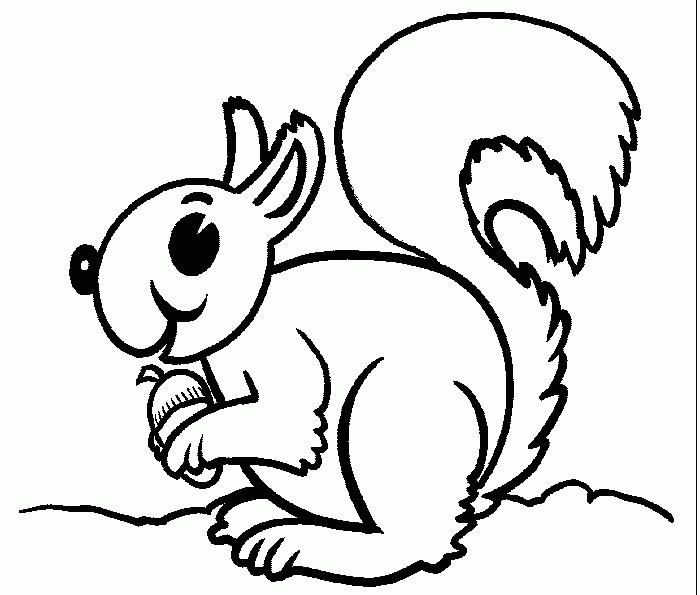 Squirrel coloring pages