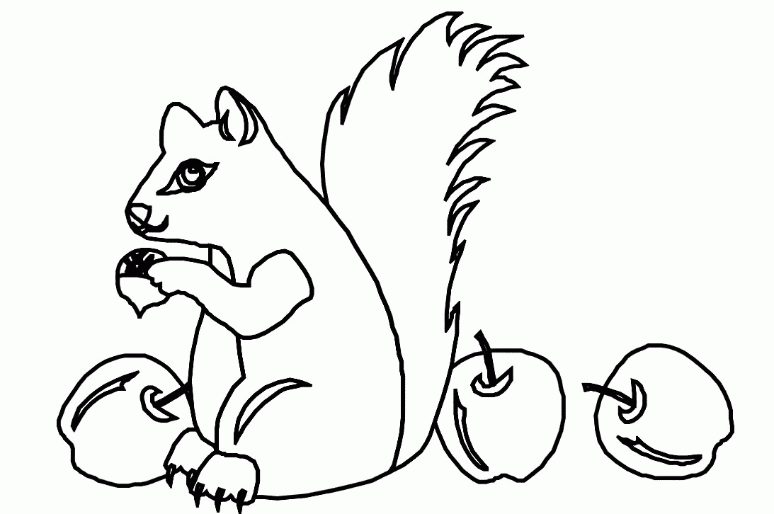 Squirrel coloring pages