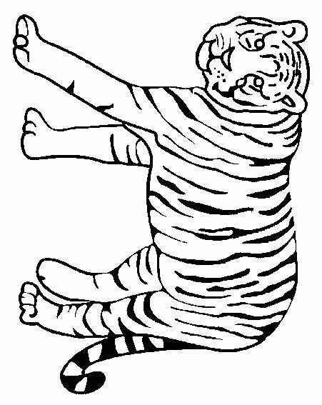 Tiger coloring pages