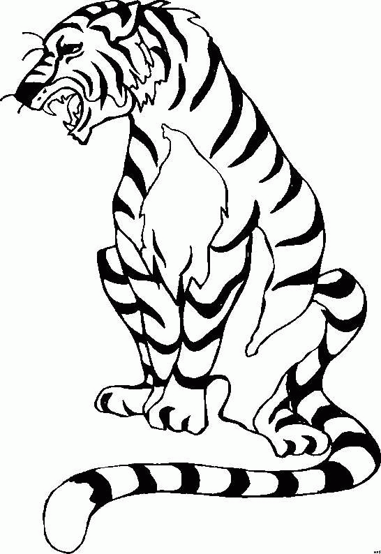 Tiger coloring pages