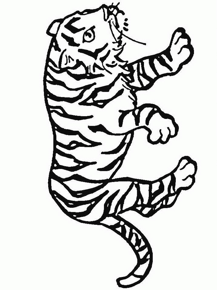 Tiger coloring pages