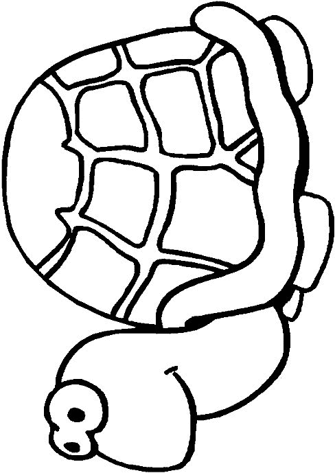 Tortoise coloring pages