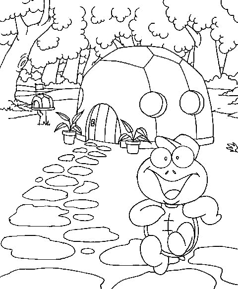 Tortoise coloring pages