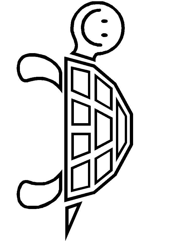 Tortoise