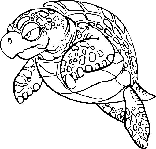 Tortoise coloring pages