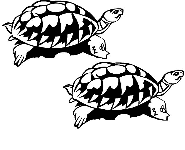 Coloring Page Tortoise Animal Coloring Pages 5