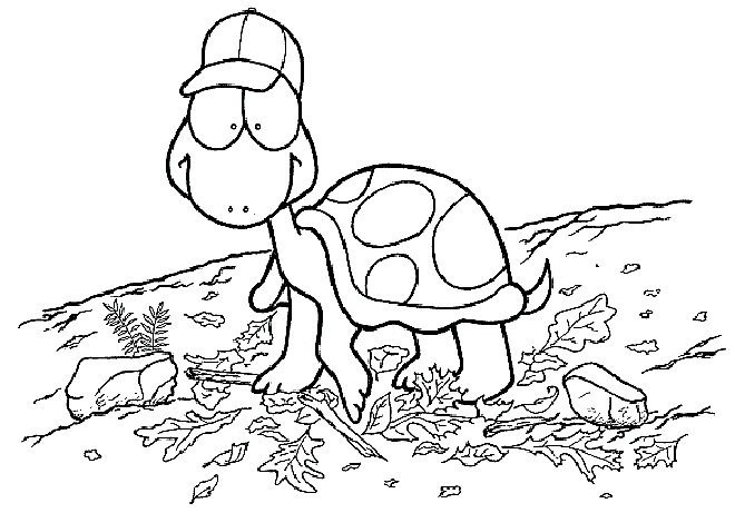 Tortoise coloring pages