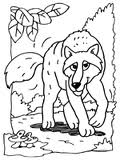 Wolves coloring pages