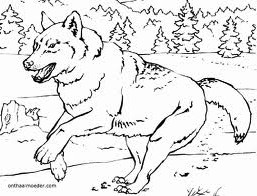 Wolves coloring pages