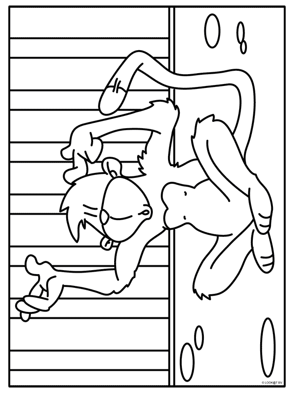 Animals coloring pages