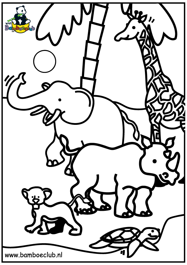 Animals coloring pages