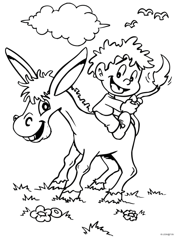 Animals coloring pages