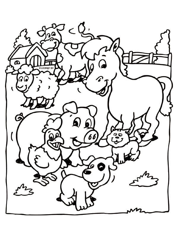 Animals coloring pages