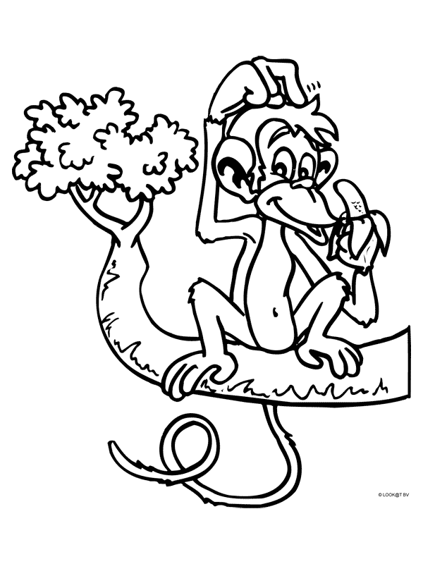 Animals coloring pages