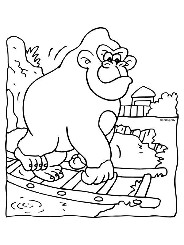 Animals coloring pages