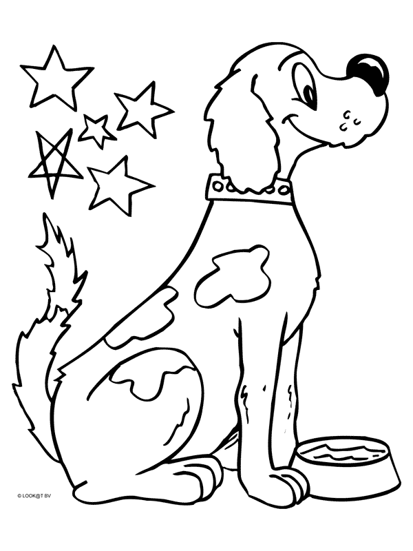 Animals coloring pages