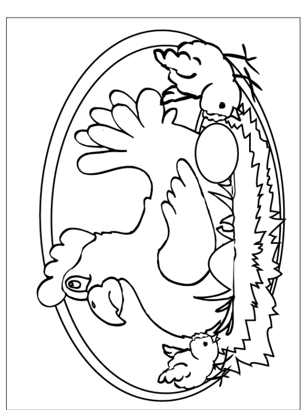 Animals coloring pages