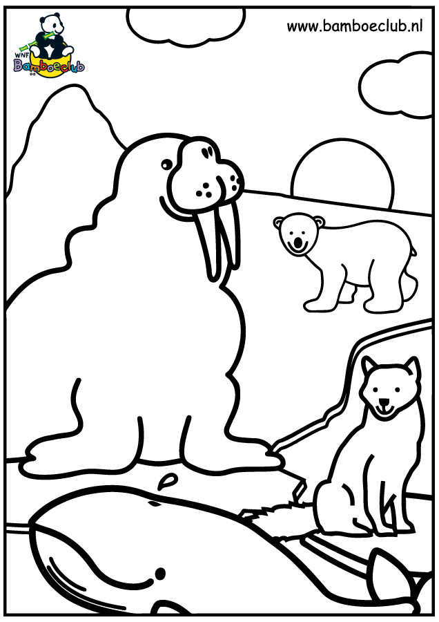 Animals coloring pages