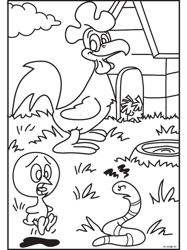 Animals coloring pages