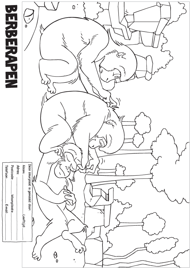 Animals coloring pages