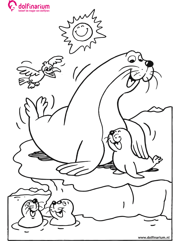 Animals coloring pages