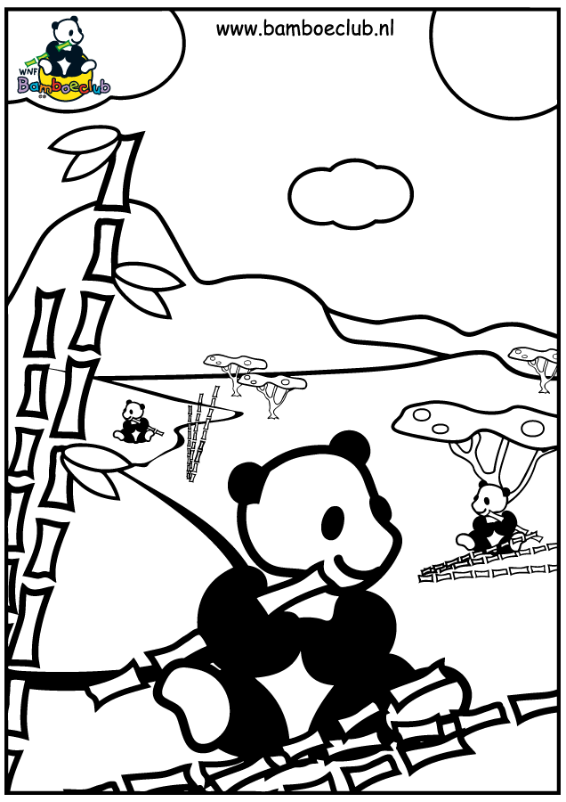 Animals coloring pages